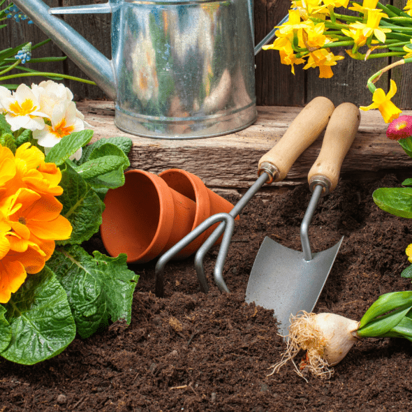Summermix Compost Mulch | Peat-Free Summer Garden Mulch