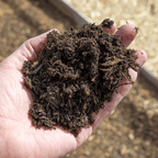 AutumnMix Compost Mulch | Autumn Planting Mix with 6-Month Feed