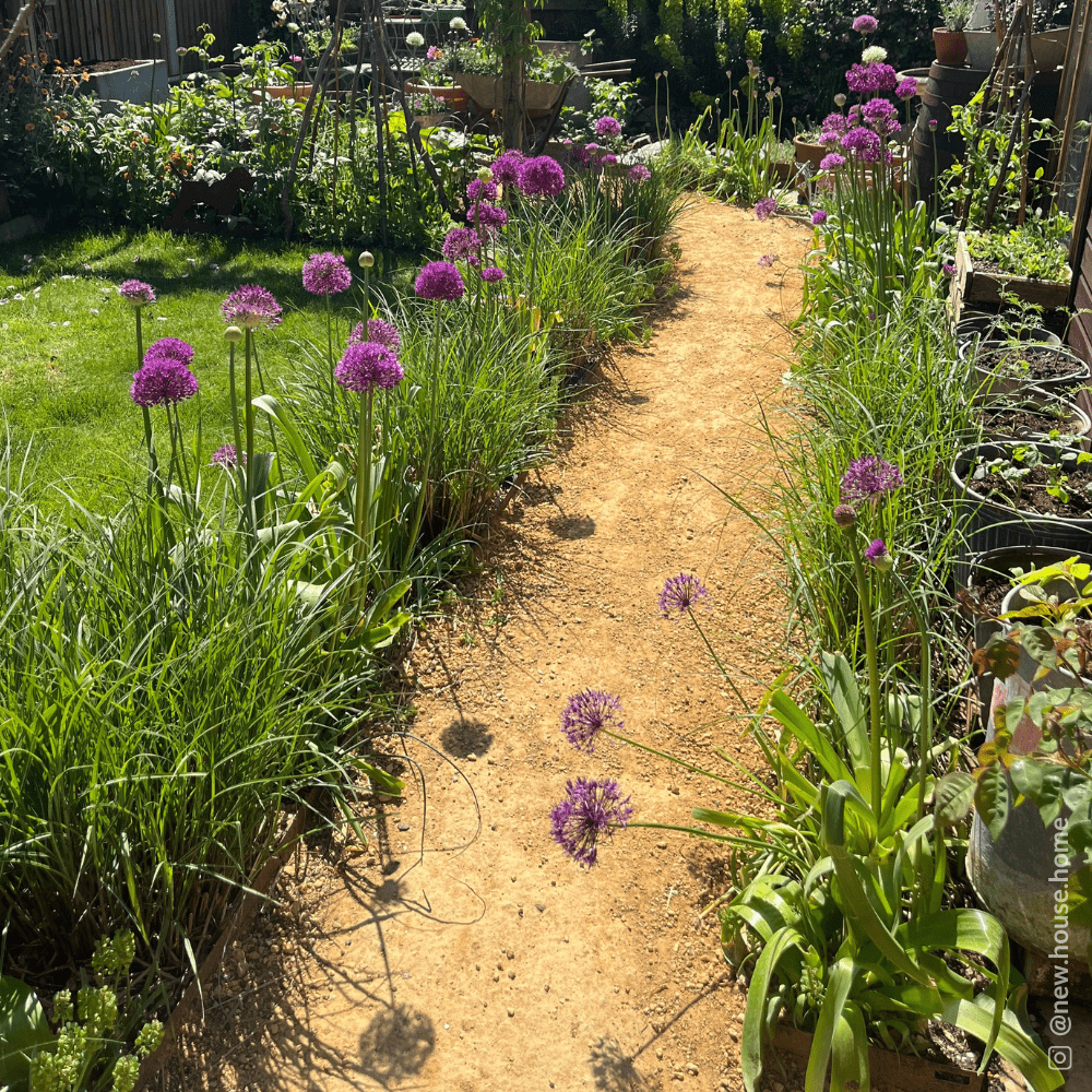 Hoggin Self-Binding Gravel | 10mm-to-Dust Path Surfacing