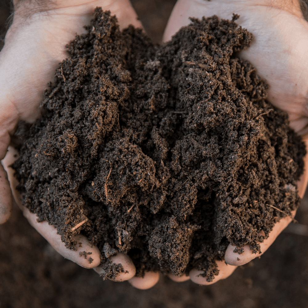 Premium Multi-Purpose Welsh Topsoil | All-in-One with Growmore