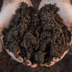 Premium Multi-Purpose Welsh Topsoil | All-in-One with Growmore