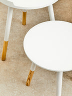 Viborg Side Table | White and Natural Pine Wood Small Round Side Table