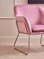 Xander Accent Chair | Pink Velvet Accent Chair with Brushed Gold Finish Legs