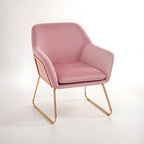 Xander Accent Chair | Pink Velvet Accent Chair with Gold Finish Legs