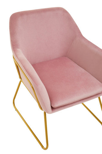 Xander Accent Chair | Pink Velvet Accent Chair with Gold Finish Legs