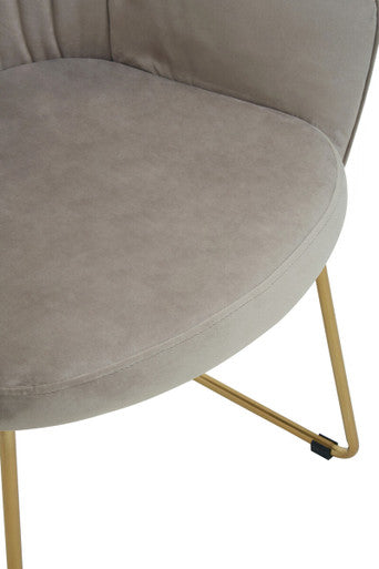 Veneto Dining Chair | Mink Velvet Curved Dining Chair with Brushed Gold Legs