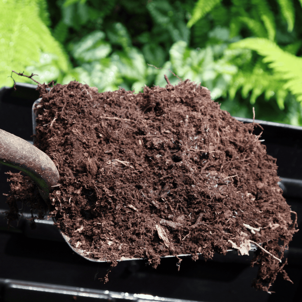 Spent Mushroom Compost | Well-Rotted Manure Soil Improver