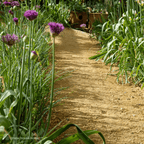 Hoggin Self-Binding Gravel | 10mm-to-Dust Path Surfacing