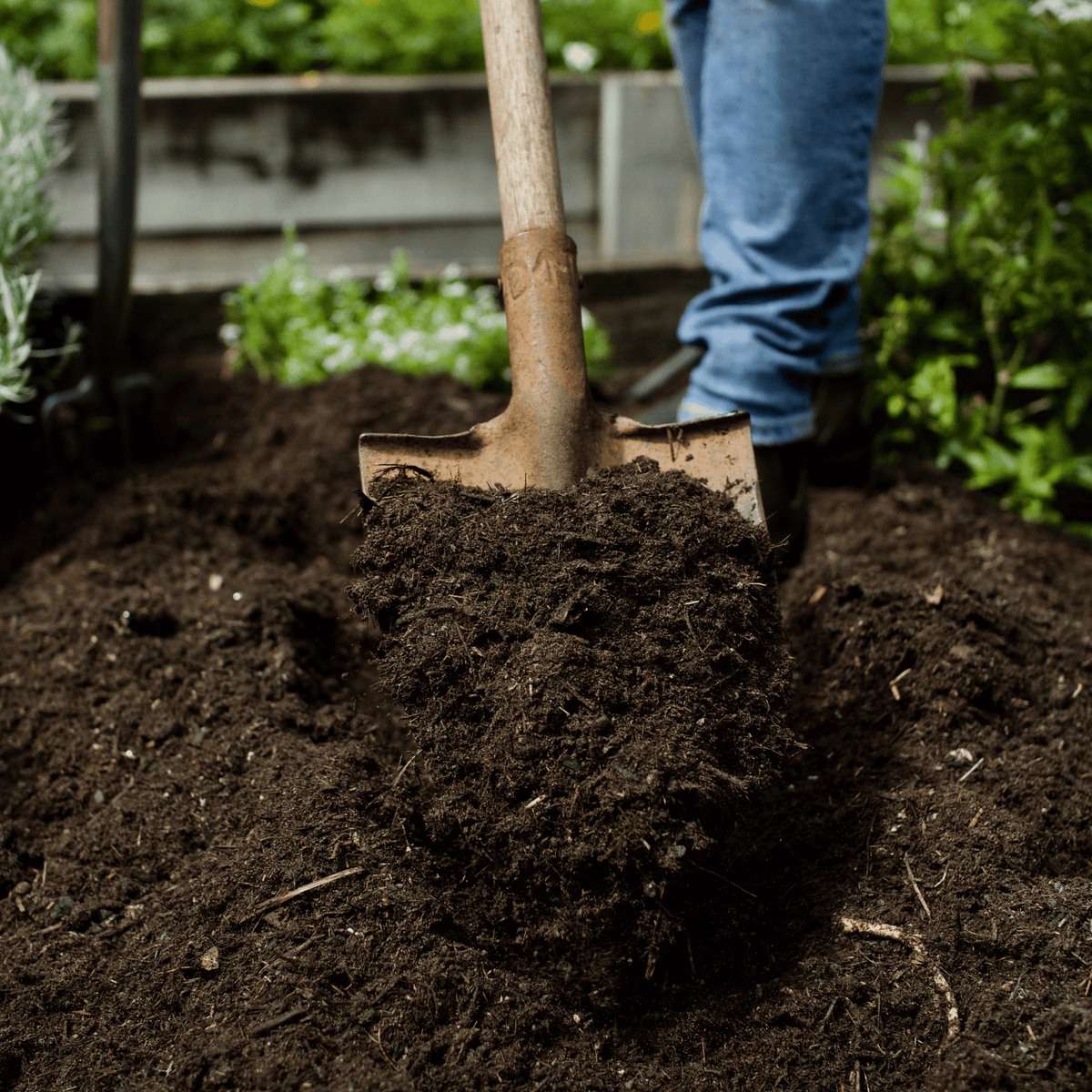 Springmix Compost Mulch | Manure-Rich Spring Garden Mulch