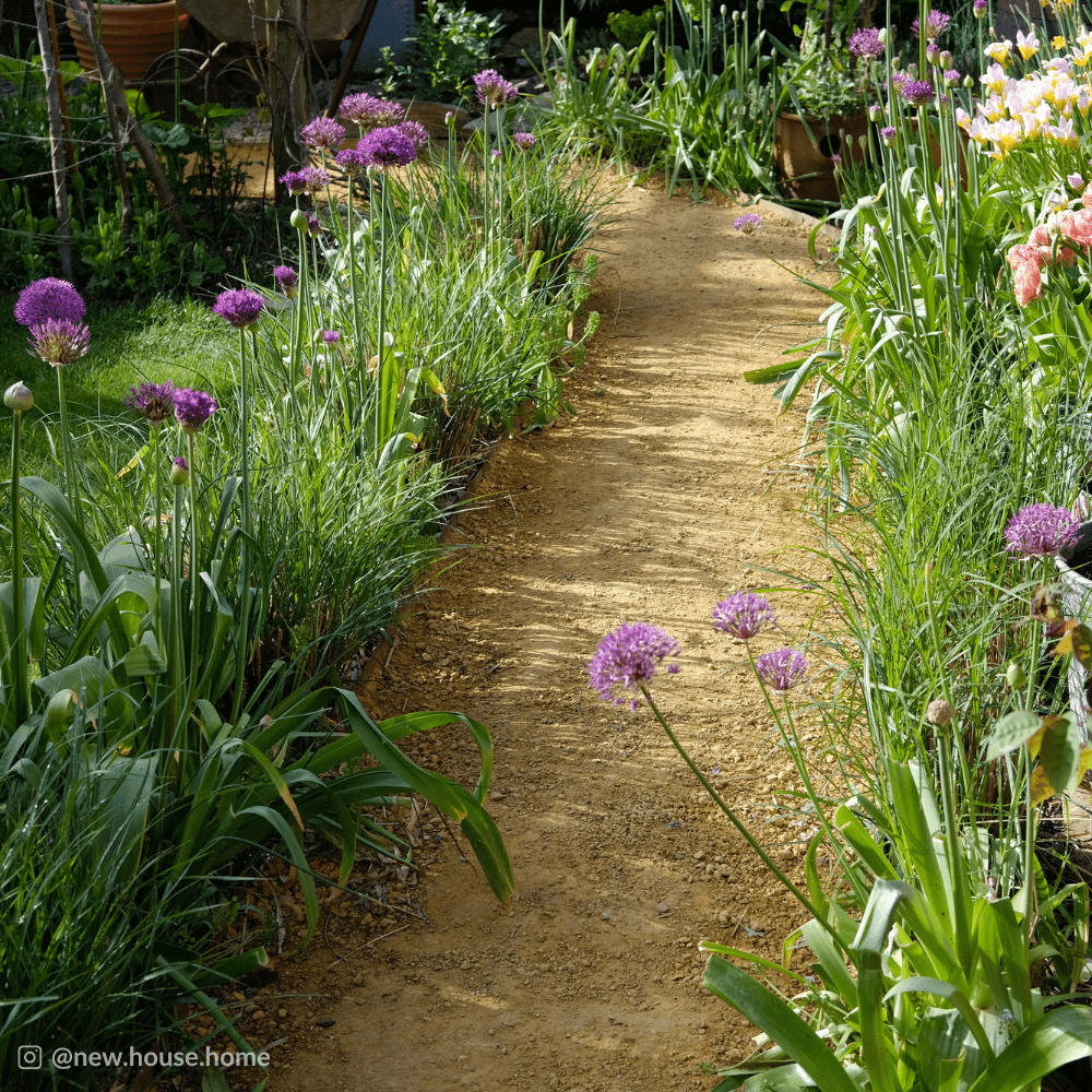 Hoggin Self-Binding Gravel | 10mm-to-Dust Path Surfacing