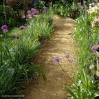 Hoggin Self-Binding Gravel | 10mm-to-Dust Path Surfacing