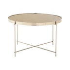 Allure Side Table | Grey Mirrored Glass Round Side Table with Brushed Nickel Frame