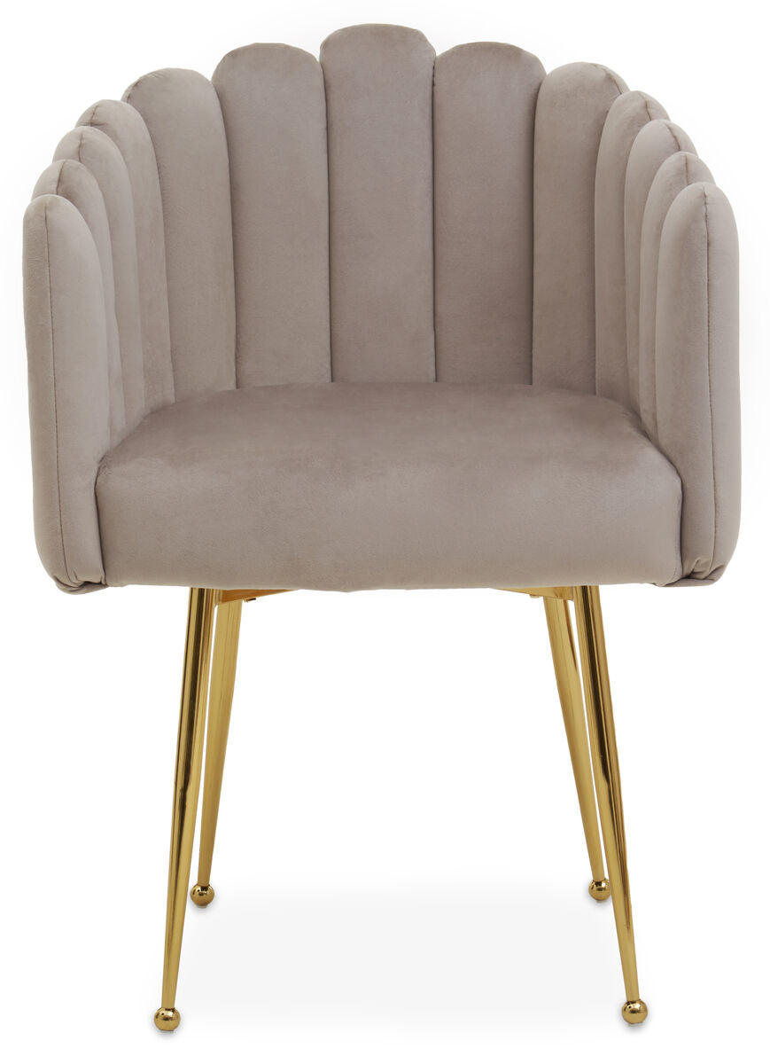 Bari Dining Chair | Mink Velvet Scalloped Dining Chair with Gold Finish Legs