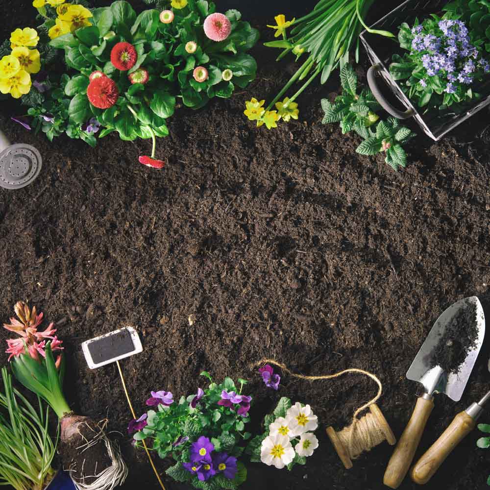 Bordermix® Welsh Topsoil | For Borders, Beds & Planters