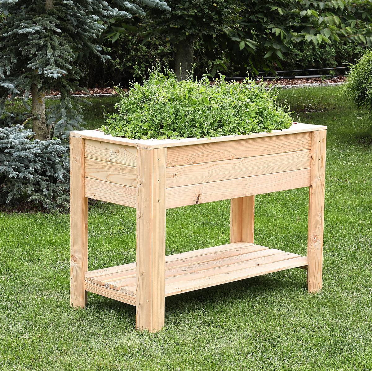 Dan Larch Planter | Shire 3x2 Raised Timber Garden Planter