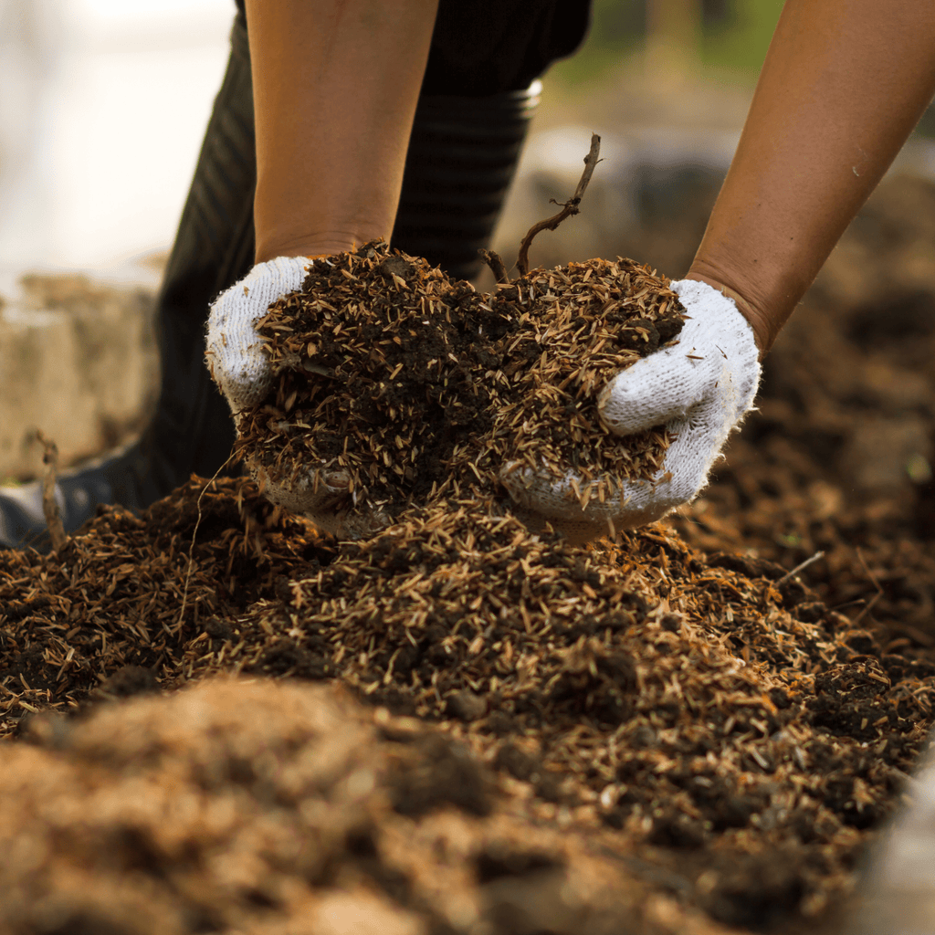AutumnMix Compost Mulch | Autumn Planting Mix with 6-Month Feed