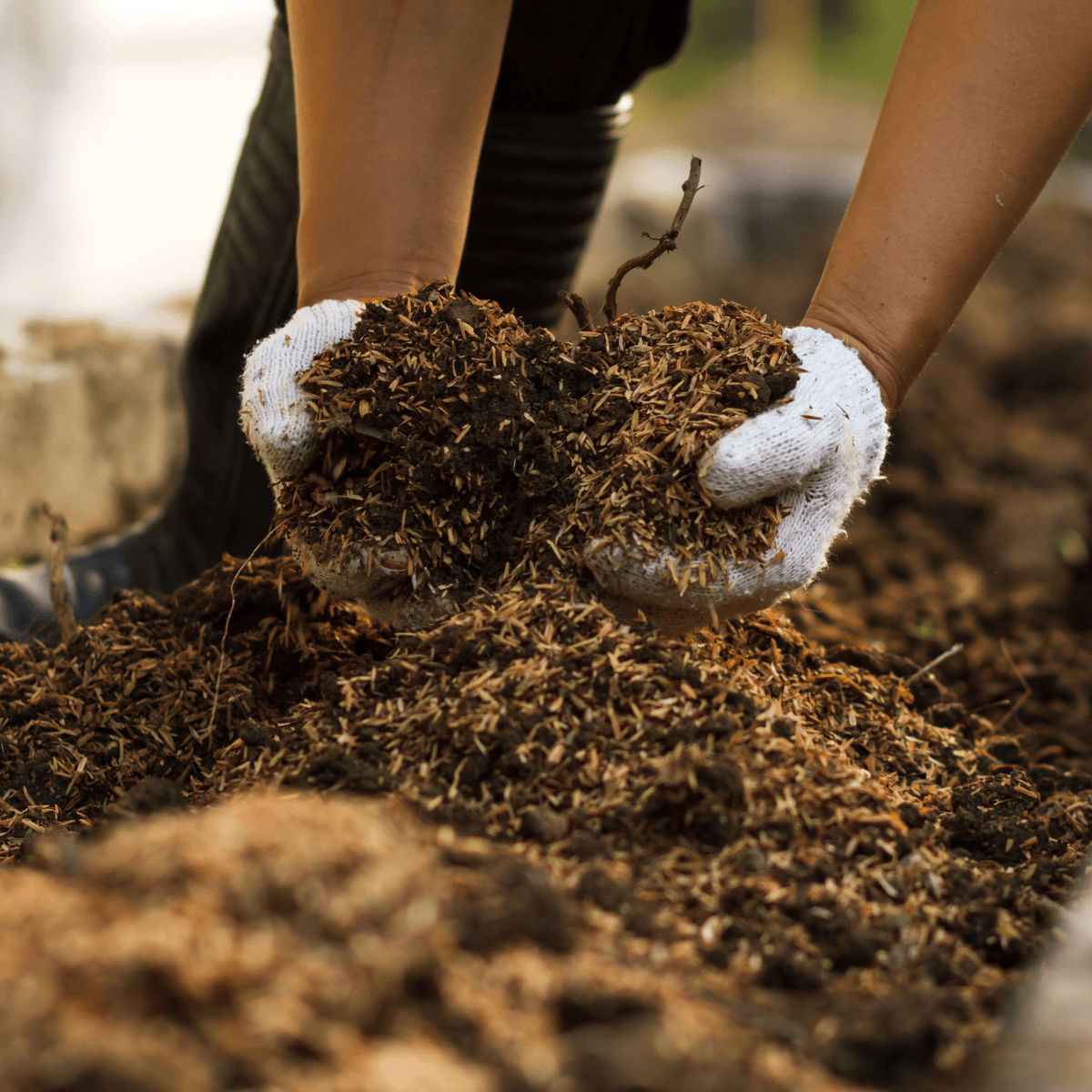 AutumnMix Compost Mulch | Autumn Planting Mix with 6-Month Feed