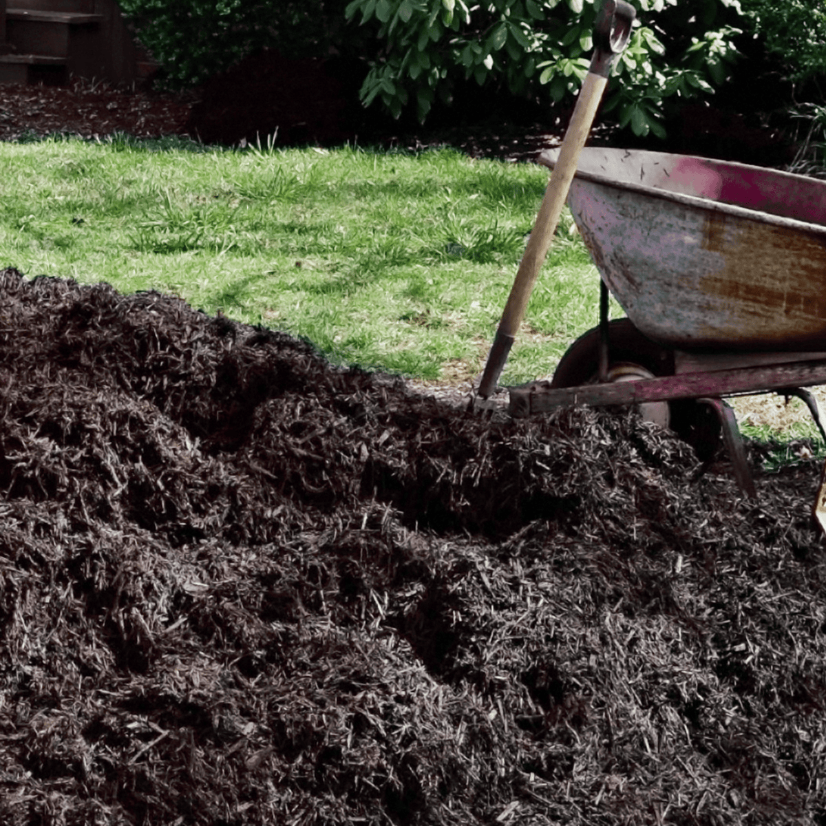 AutumnMix Compost Mulch | Autumn Planting Mix with 6-Month Feed