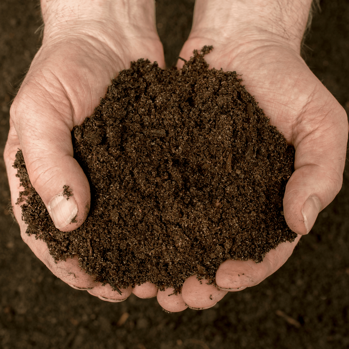 Bordermix® Welsh Topsoil | For Borders, Beds & Planters