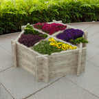 Hexagonal Planter | Shire 4-Section Pressure Treated Timber Feature Planter