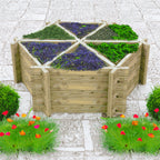 Hexagonal Planter | Shire 6-Section Pressure Treated Timber Feature Planter