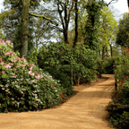 Hoggin Self-Binding Gravel | 10mm-to-Dust Path Surfacing
