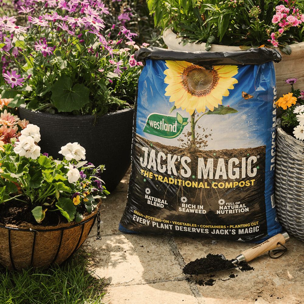 Westland Jack's Magic All-Purpose Compost | 50L Bags, Bulk Buy