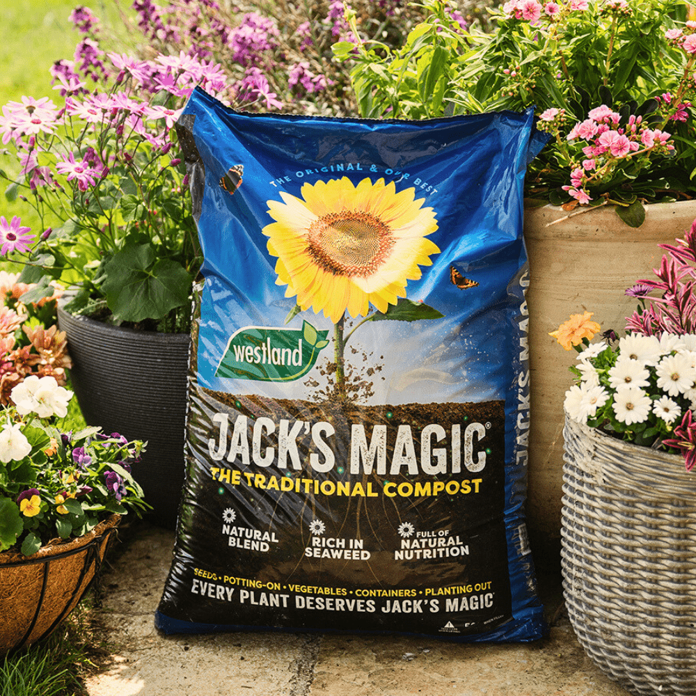 Westland Jack's Magic All-Purpose Compost | 50L Bags, Bulk Buy