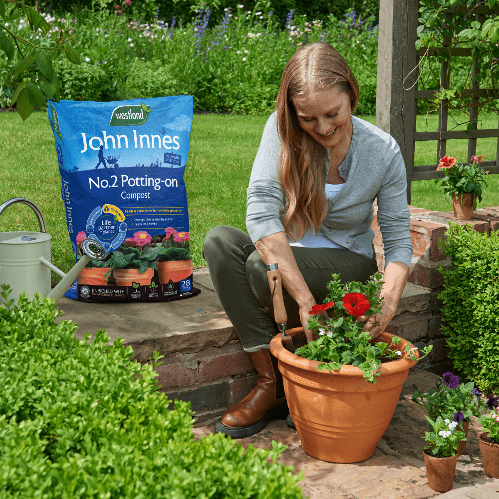 John Innes No.2 Potting-On Compost | Peat-Free 28L Bags, Bulk Buy