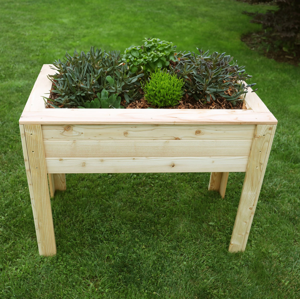 Stef Larch Planter | Shire 3x2 Raised Timber Garden Planter