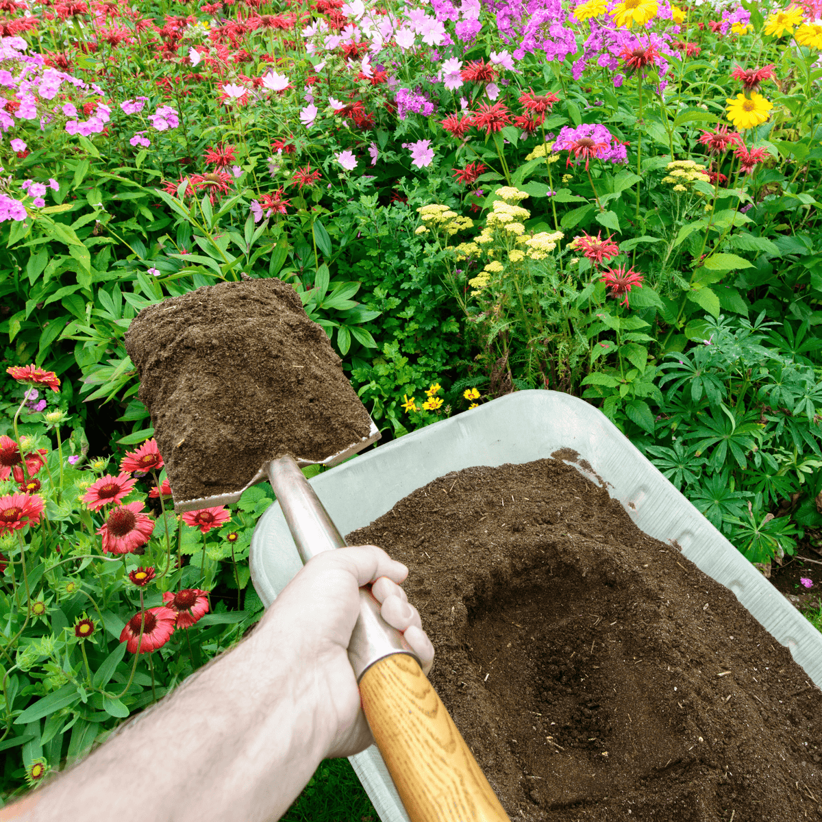 Bordermix® Welsh Topsoil | For Borders, Beds & Planters