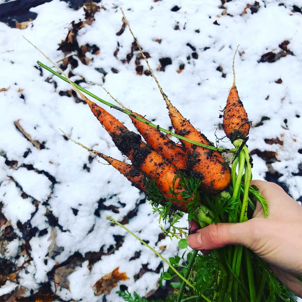 Wintermix Compost Mulch | Autumn & Winter Garden Mulch