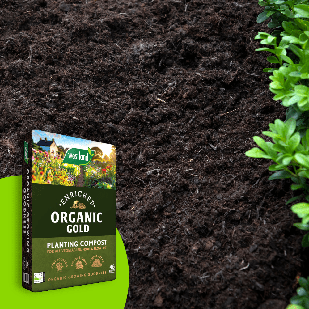Organic Gold Planting Compost | Biochar-Enriched, Bulk Buy
