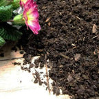 Composted Mulch Bark Fines | Soil Conditioner for Clay Soils