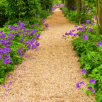 Golden Gravel | 10mm or 20mm Gold Decorative Chippings