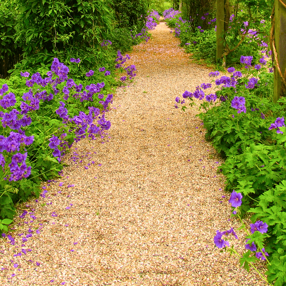 Golden Gravel | 10mm or 20mm Gold Decorative Chippings