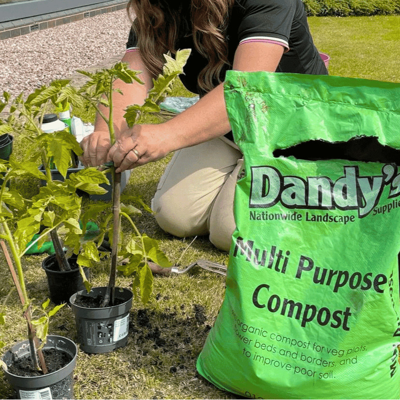 Multi-Purpose Welsh Compost | Peat-Free 0–20mm Compost Mulch