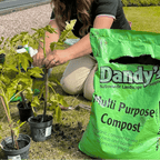 Multi-Purpose Welsh Compost | Peat-Free 0–20mm Compost Mulch