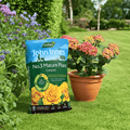 John Innes No.3 Mature Plant Compost | Peat-Free 28L Bags, Bulk Buy