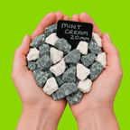 Mint Cream Gravel | 20mm Designer Decorative Chippings
