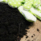 Premium Multi-Purpose Compost | 0–10mm Screened Peat-Free