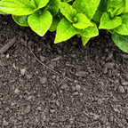 Multi-Purpose Welsh Compost | Peat-Free 0–20mm Compost Mulch
