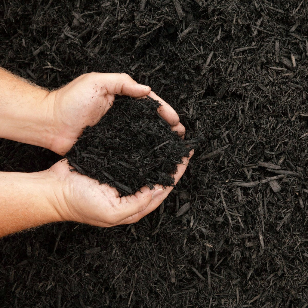 Multi-Purpose Welsh Compost | Peat-Free 0–20mm Compost Mulch