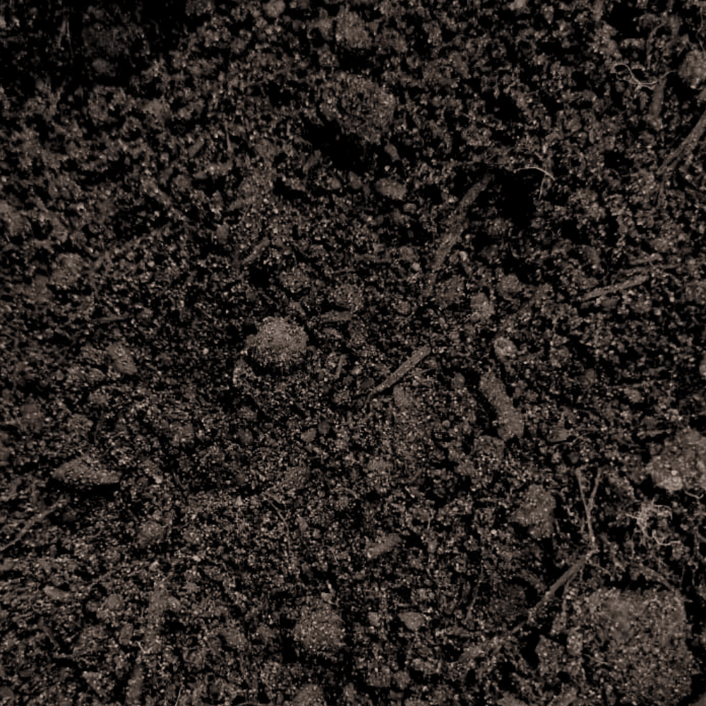 Premium Multi-Purpose Compost | 0–10mm Screened Peat-Free