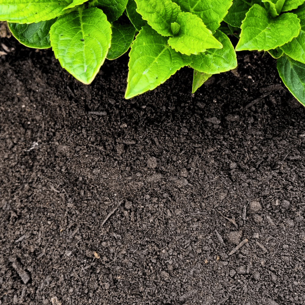 Premium Multi-Purpose Compost | 0–10mm Screened Peat-Free