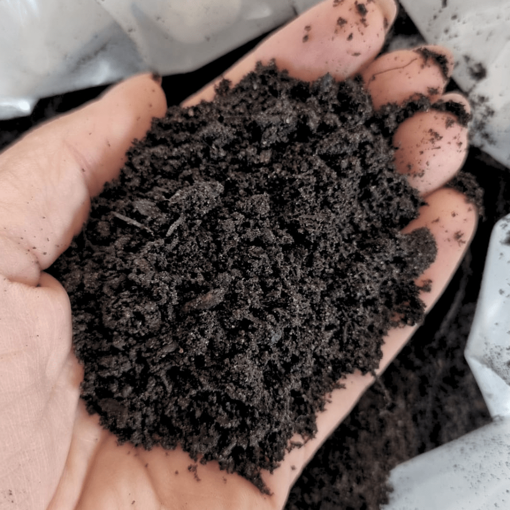 Premium Multi-Purpose Compost | 0–10mm Screened Peat-Free