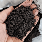 Premium Multi-Purpose Compost | 0–10mm Screened Peat-Free