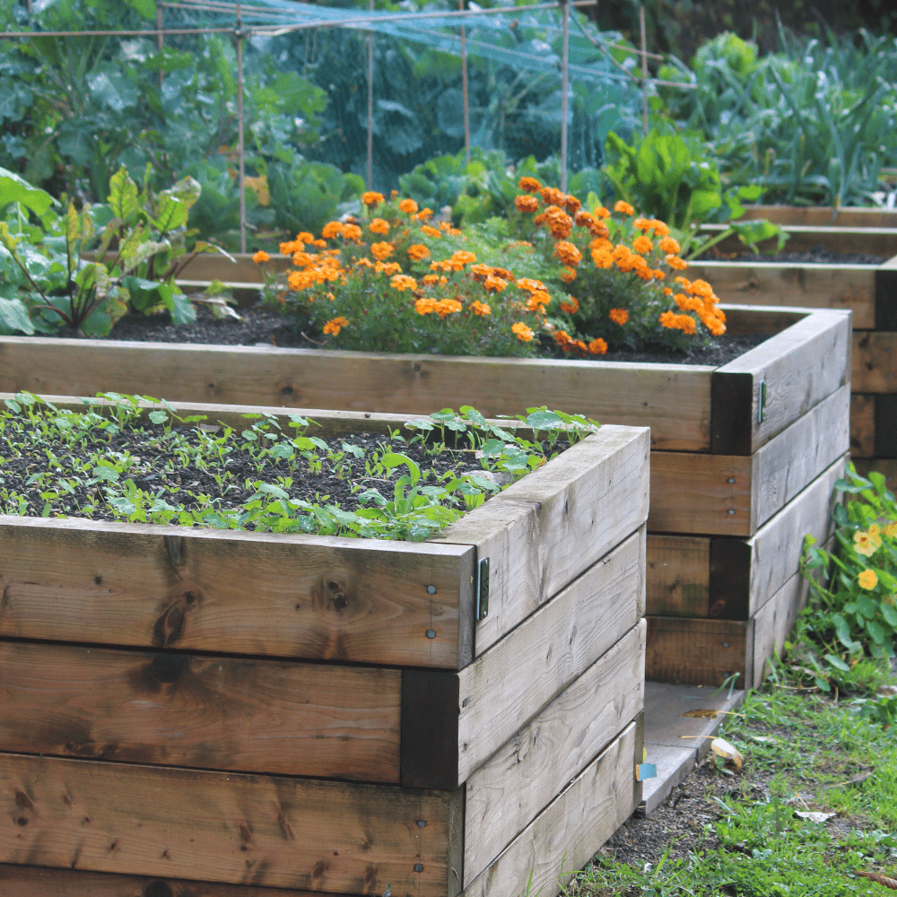 BedGrow® Raised Bed Topsoil Mix | Ready-to-Plant Blend