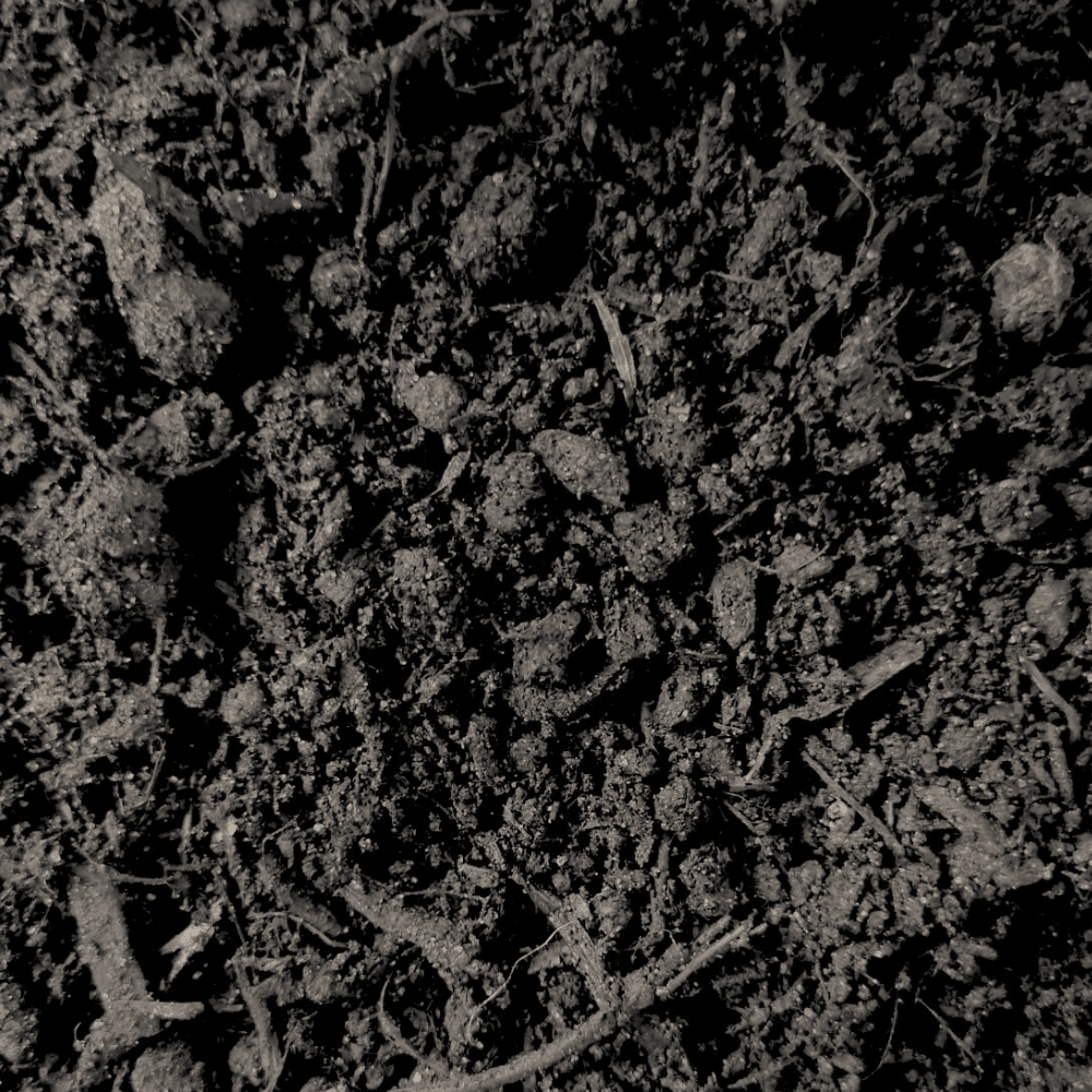 Multi-Purpose Welsh Compost | Peat-Free 0–20mm Compost Mulch