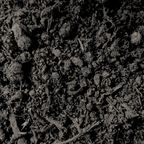 Multi-Purpose Welsh Compost | Peat-Free 0–20mm Compost Mulch